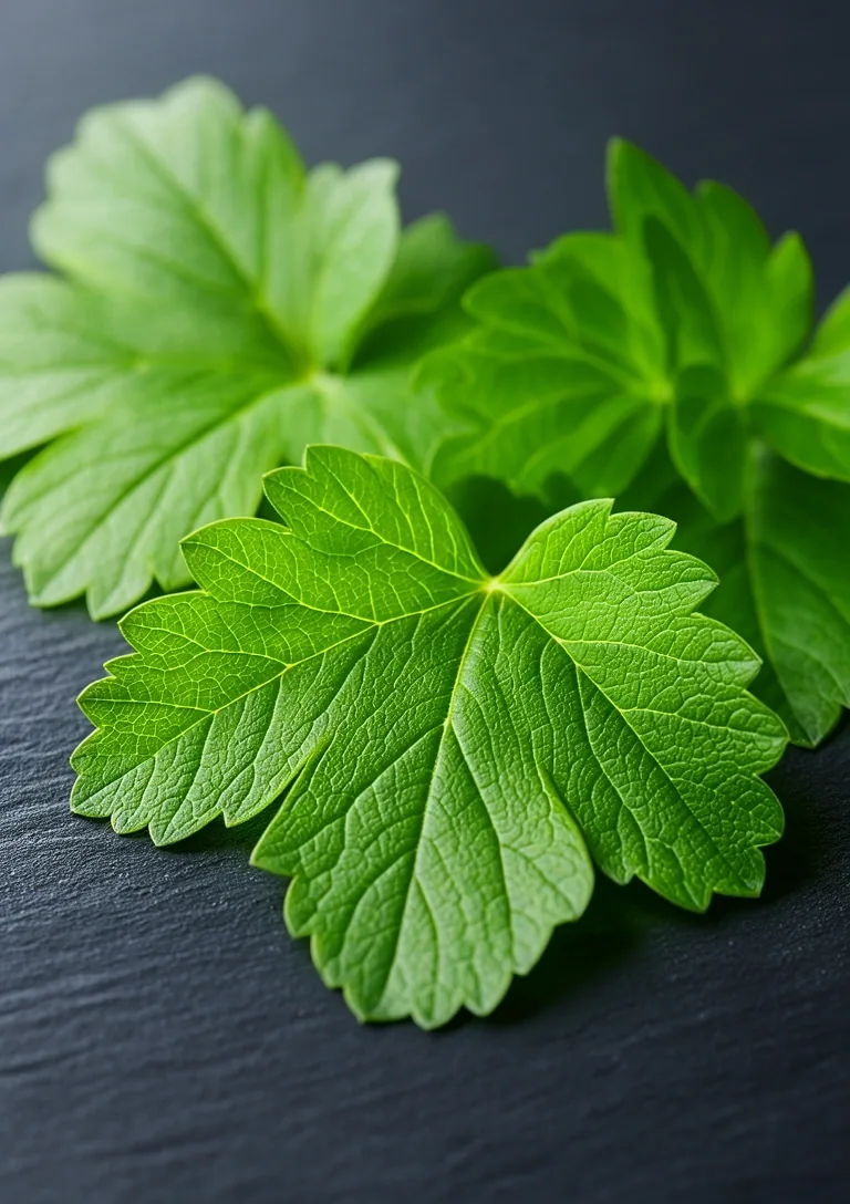 Natural leaf detail